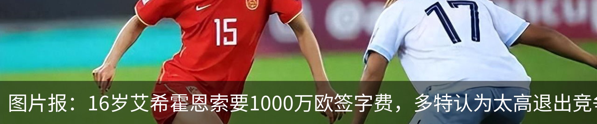 新闻动态