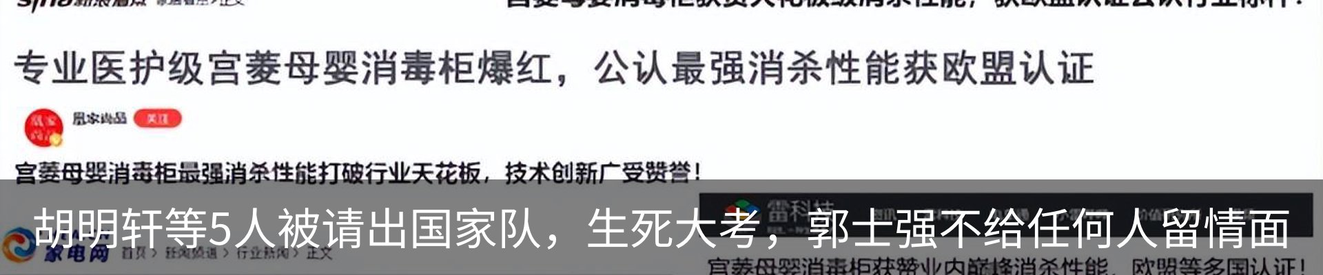 新闻动态